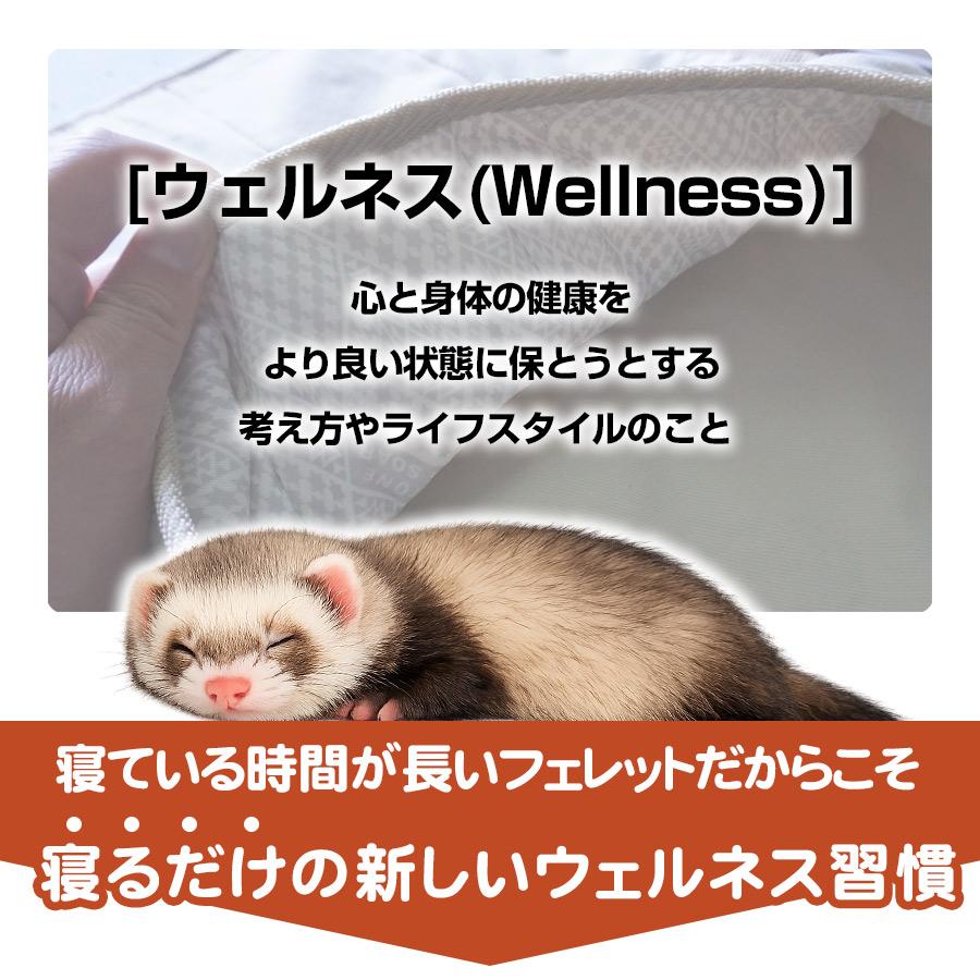 フェレット ハンモック LIP3063 ウェルネスハンモック オールシーズン