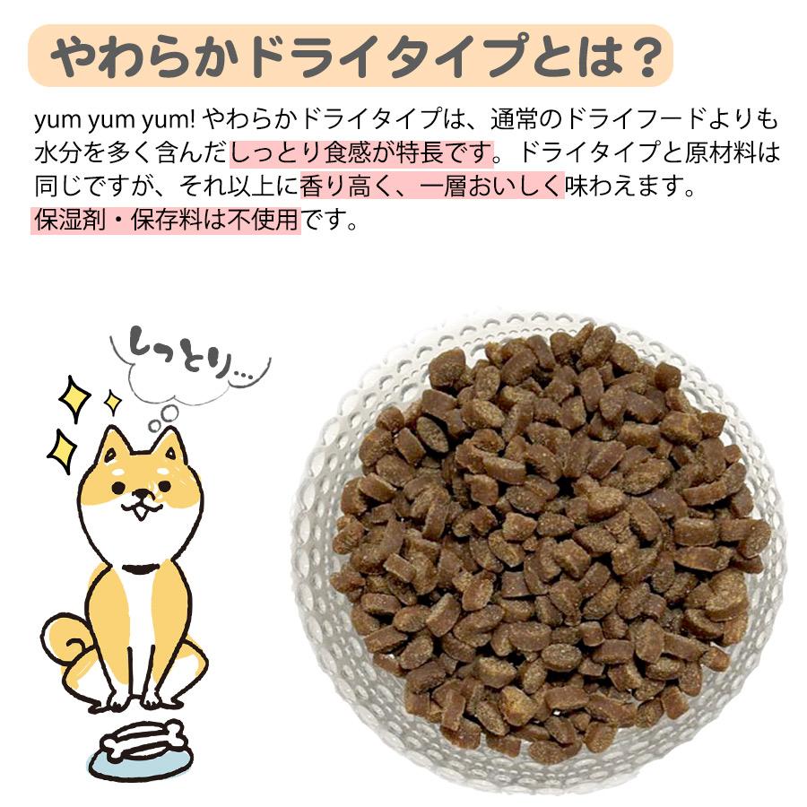 ヤムヤムヤム ハイシニア 13+ チキン やわらかドライタイプ 80g yum