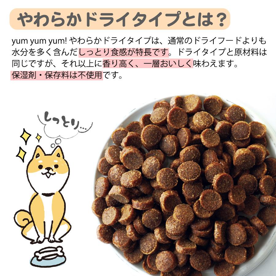 ヤムヤムヤム マグロ やわらかドライタイプ 80g yum yum yum！国産 獣
