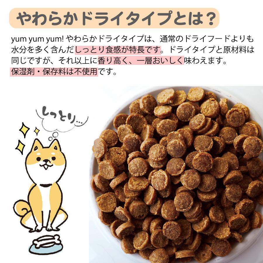 yumyum.yummy☺︎　食品詰め合わせ ヤムヤムヤム 馬肉 やわらかドライタイプ 80g yum yum yum！国産 獣