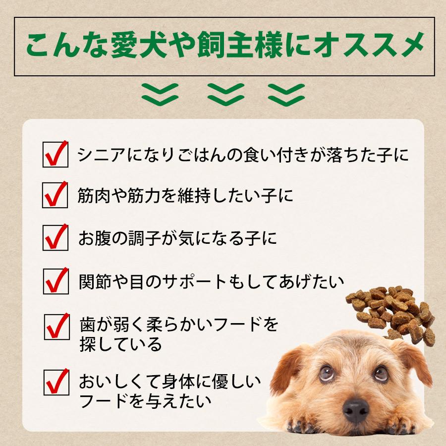 ヤムヤムヤム ハイシニア 13+ チキン ドライタイプ 50g yum yum yum