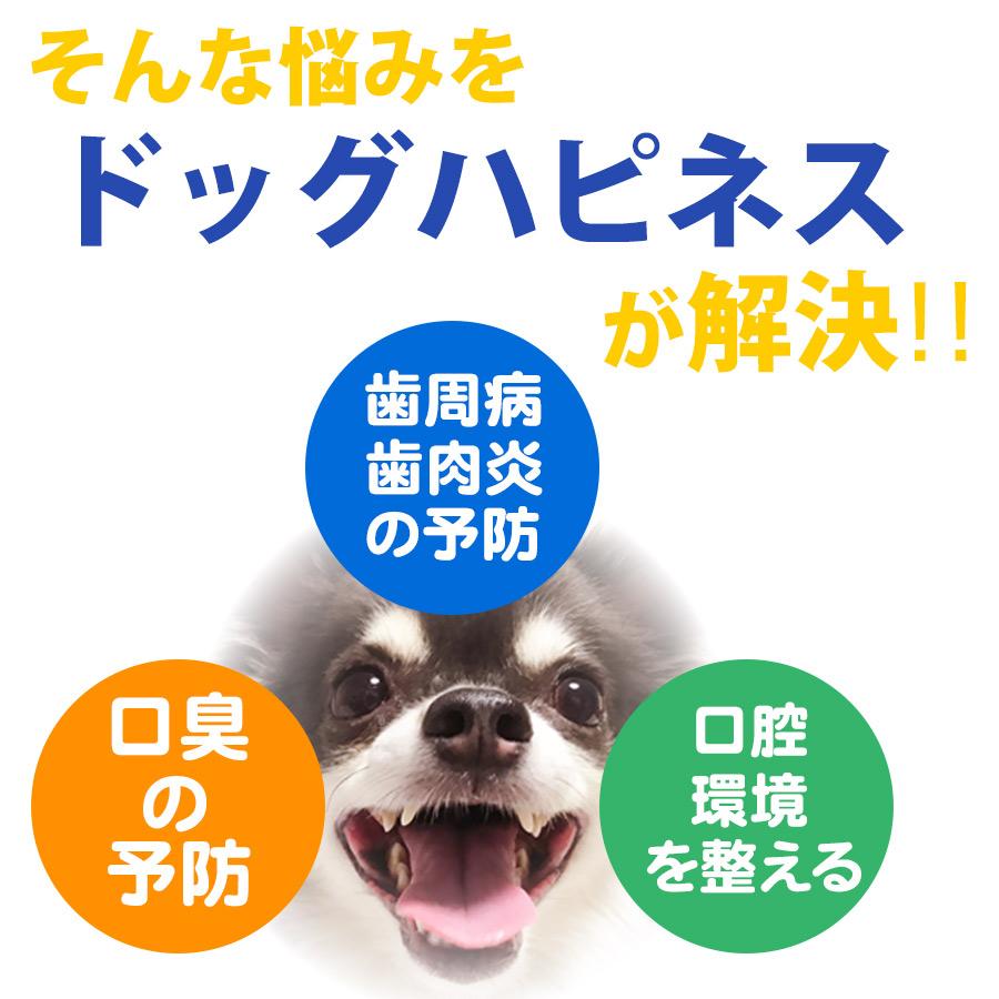 猫用品 【新品・未開封】KPS ホワイト118 犬・猫用歯磨きパウダー プロ