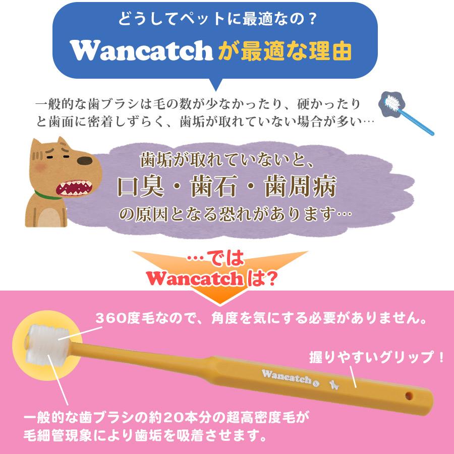 犬 歯ブラシ ワンキャッチ Wancatch Mサイズ 小型犬・中型犬用 犬 歯ブラシ ワンキャッチ Wancatch Mサイズ 小型犬・中型犬用