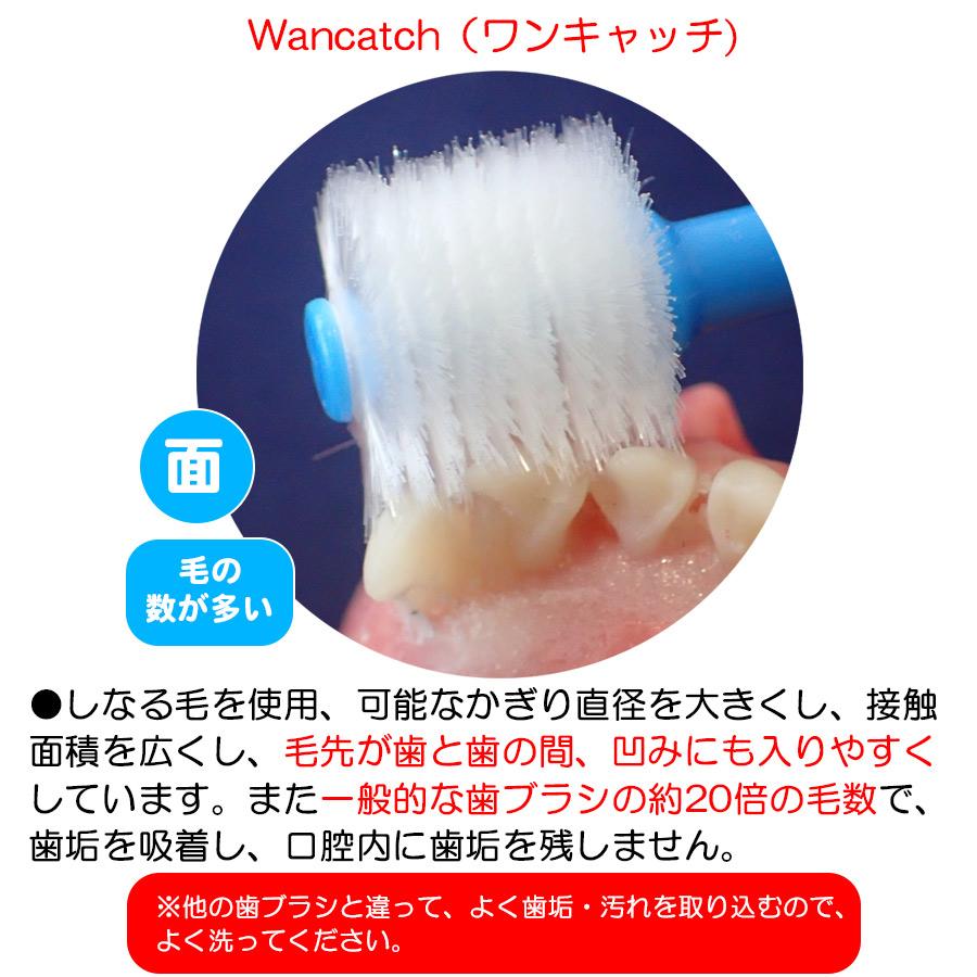 犬 歯ブラシ ワンキャッチ Wancatch Mサイズ 小型犬・中型犬用 犬 歯ブラシ ワンキャッチ Wancatch Mサイズ 小型犬・中型犬用