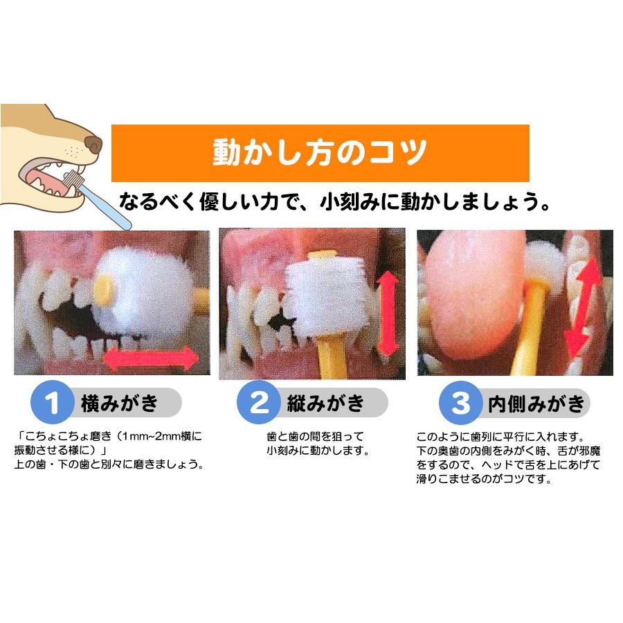 犬 歯ブラシ ワンキャッチ Wancatch 歯ブラシ Mサイズ 小型犬 中型犬用 ペット専用歯垢吸着歯ブラシ 歯科医監修 ゆうパケットok L I P Yahoo 店 通販 Yahoo ショッピング