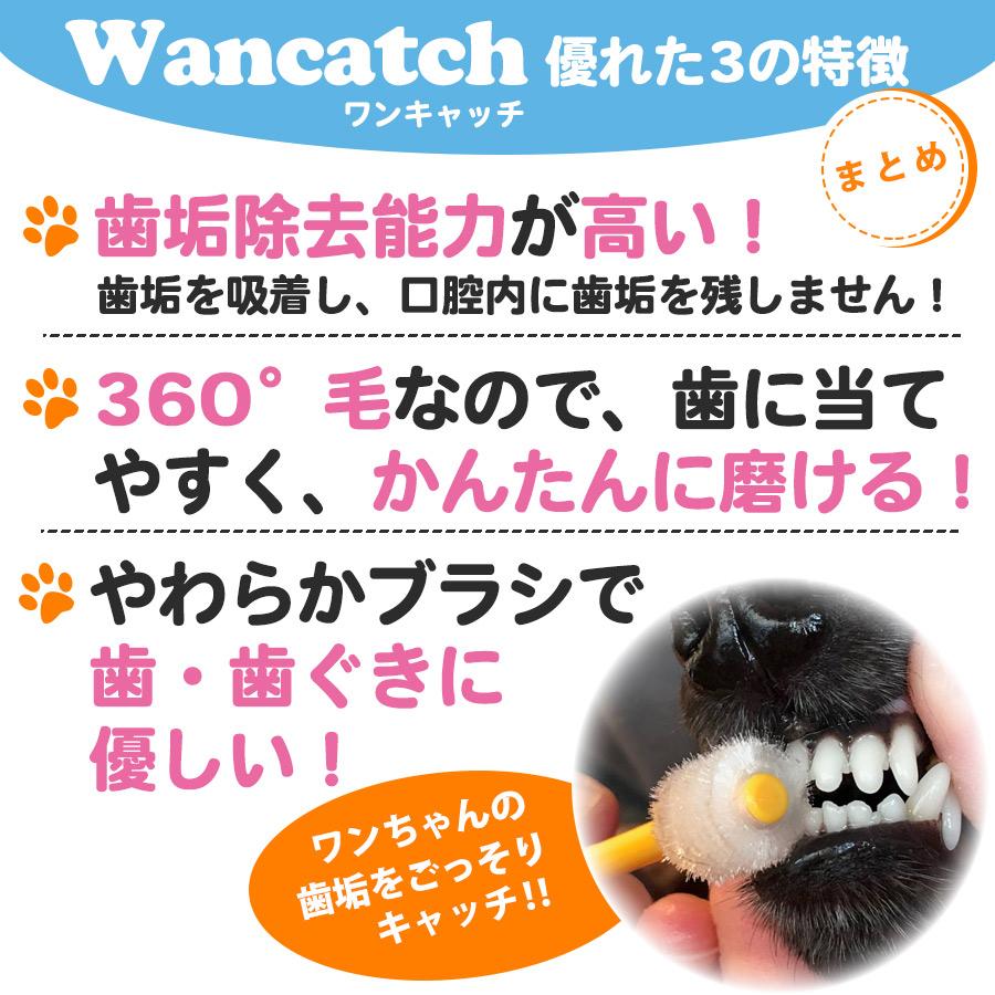 犬 歯ブラシ ワンキャッチ Wancatch Mサイズ 小型犬・中型犬用 犬 歯ブラシ ワンキャッチ Wancatch Mサイズ 小型犬・中型犬用