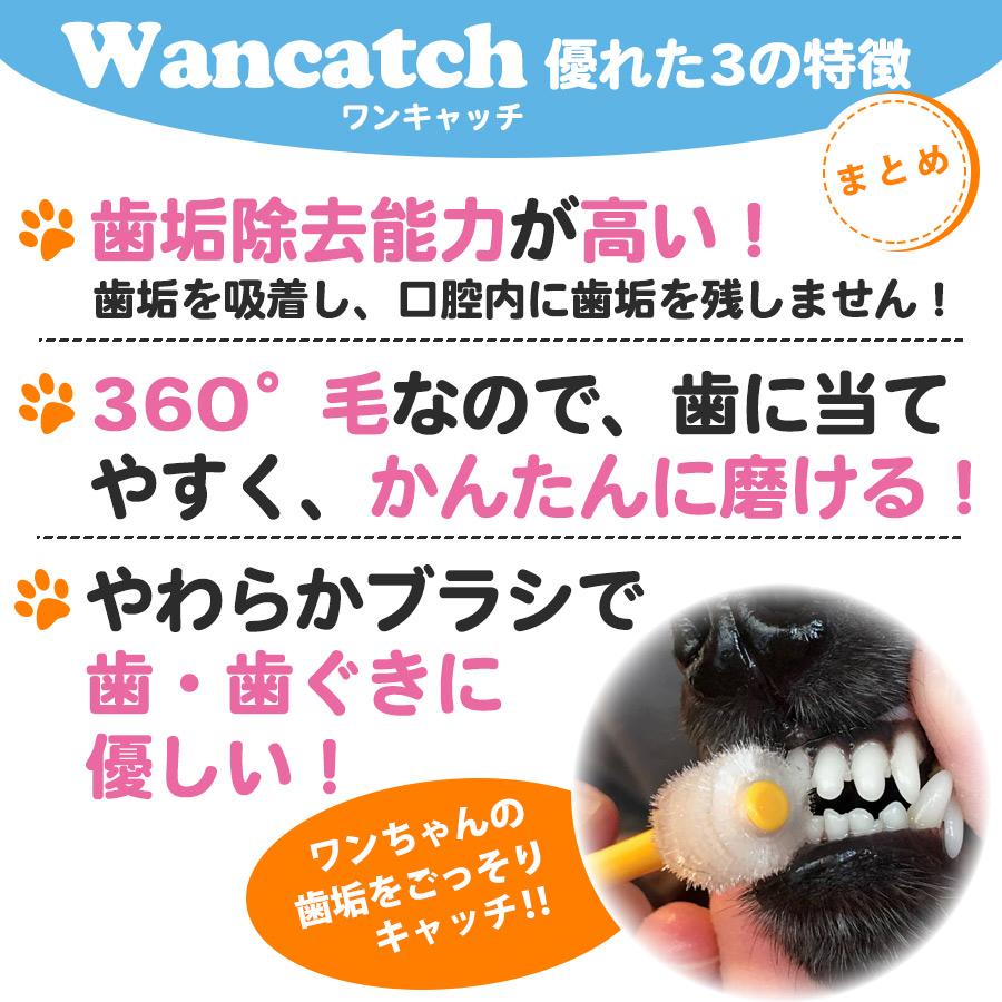 犬 オーラルケア ワンキャッチ Wancatch 歯ブラシ Lサイズ 中型