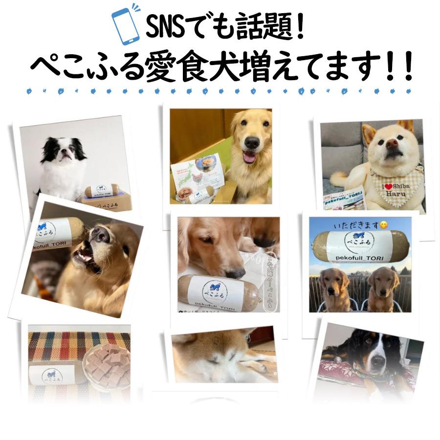 犬 ドッグフード ぺこふる 鶏 400g 冷凍 pekofull フレッシュロール
