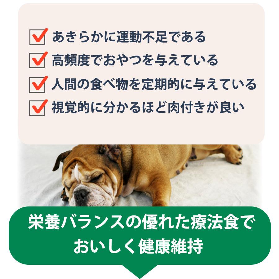 マルカン 犬 ドッグフード ベッツウェル 犬用食事療法食 肥満ケア 3kg