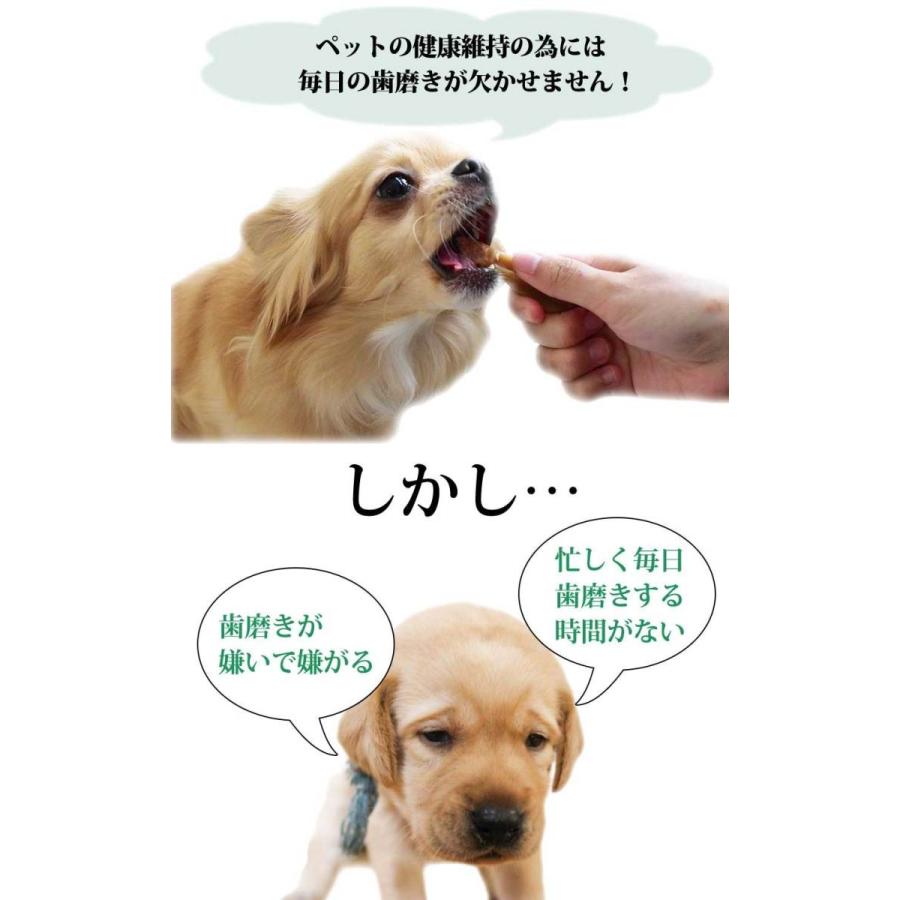 犬 歯みがき コスモスラクト デンタルローション ジェルタイプ55gドッグ Dog フェレット 猫 キャット 歯磨き 口臭予防 デンタルローション デンタルローション L I P Yahoo 店 通販 Yahoo ショッピング
