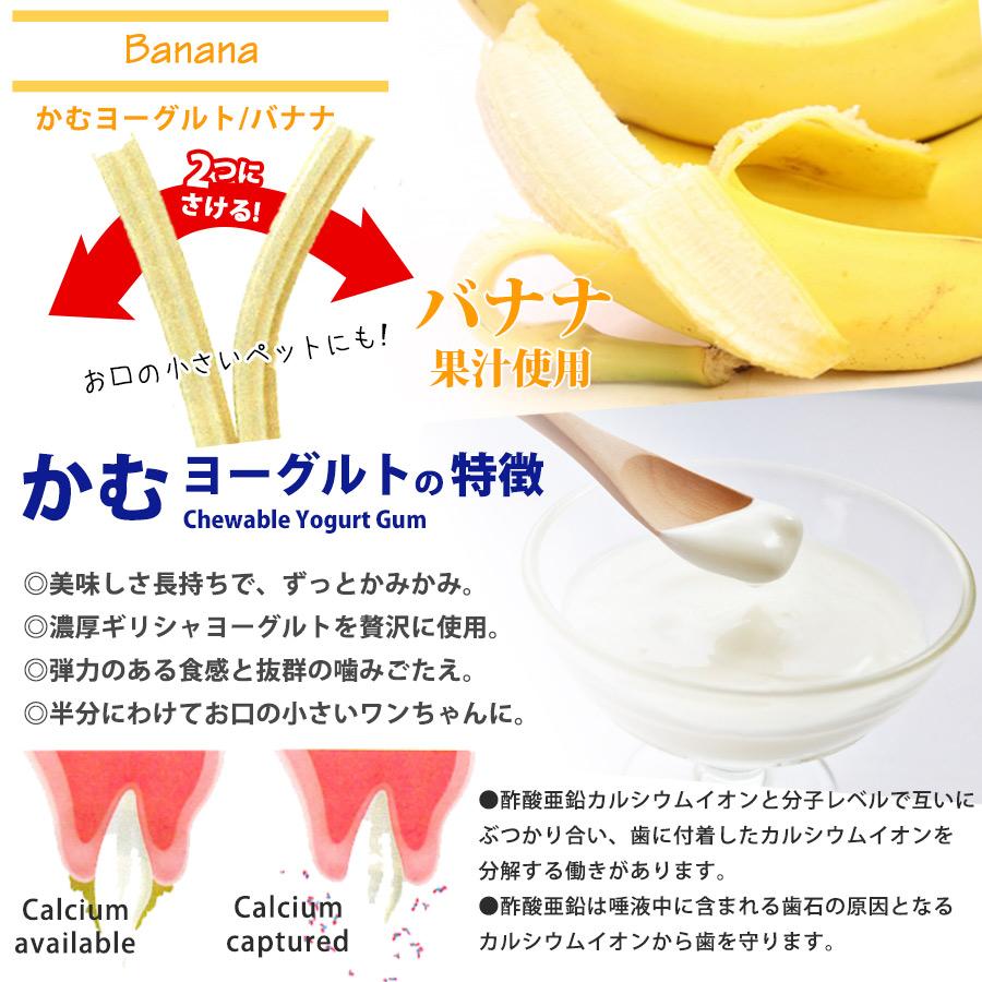 ドッグフード chanpon ドッグフード 国産 ドクタープロ Dr.PRO 3フィッシュ2ポテト 2.4