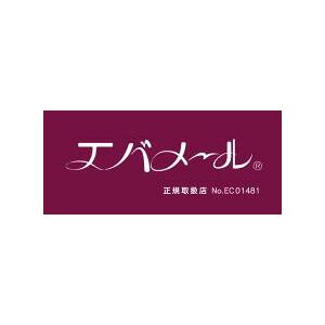 エバメールゲルクリーム ポンプ500S 2個 詰替500S 2個 セットの画像