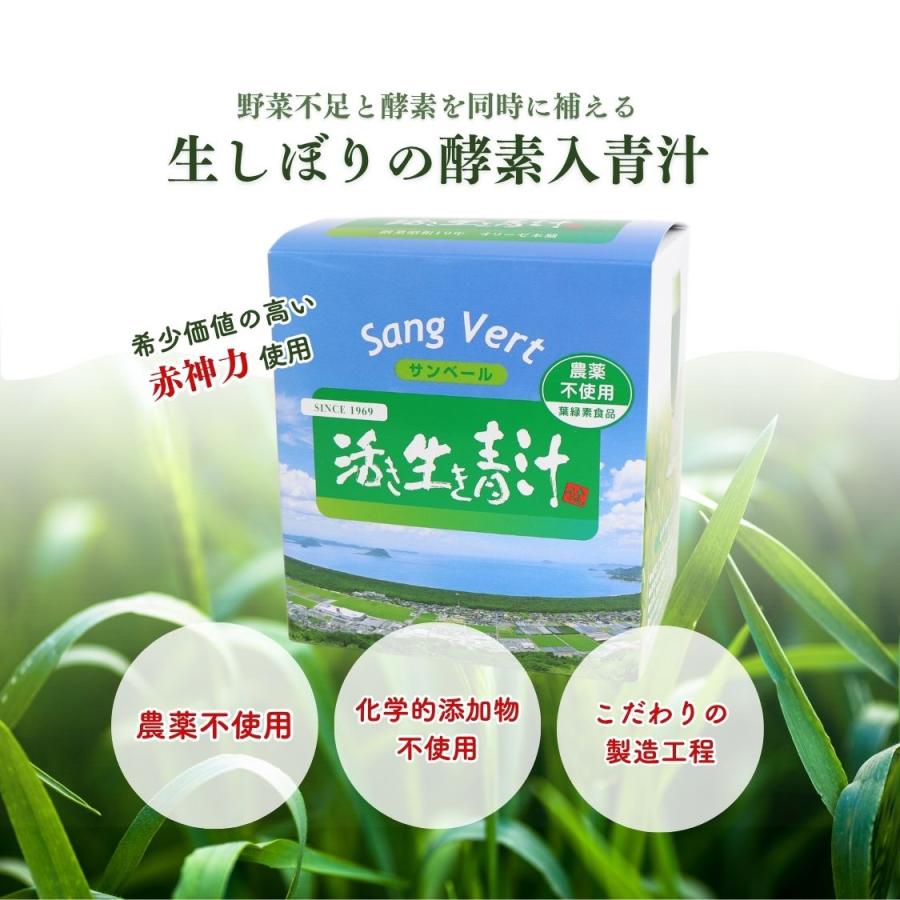 サンベール 活き生き青汁 60包 : リプリYahoo店 - 通販 - Yahoo