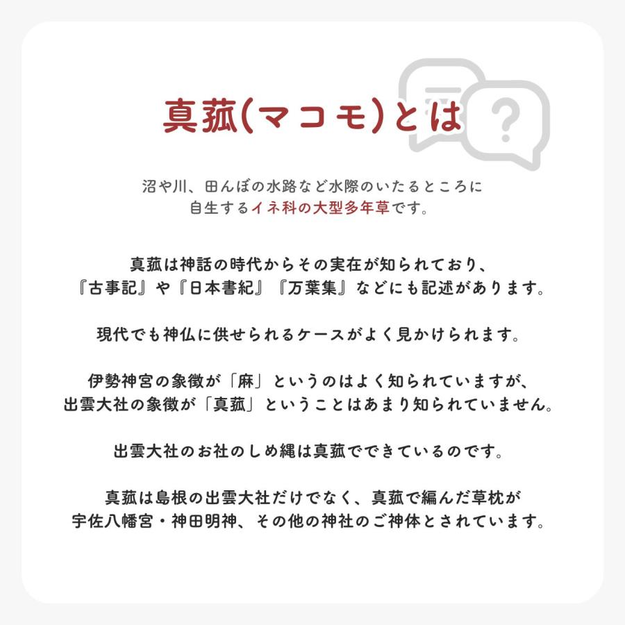 お風呂用マコモ 1000ml 2個 波動の塩40gプレゼント : リプリYahoo店