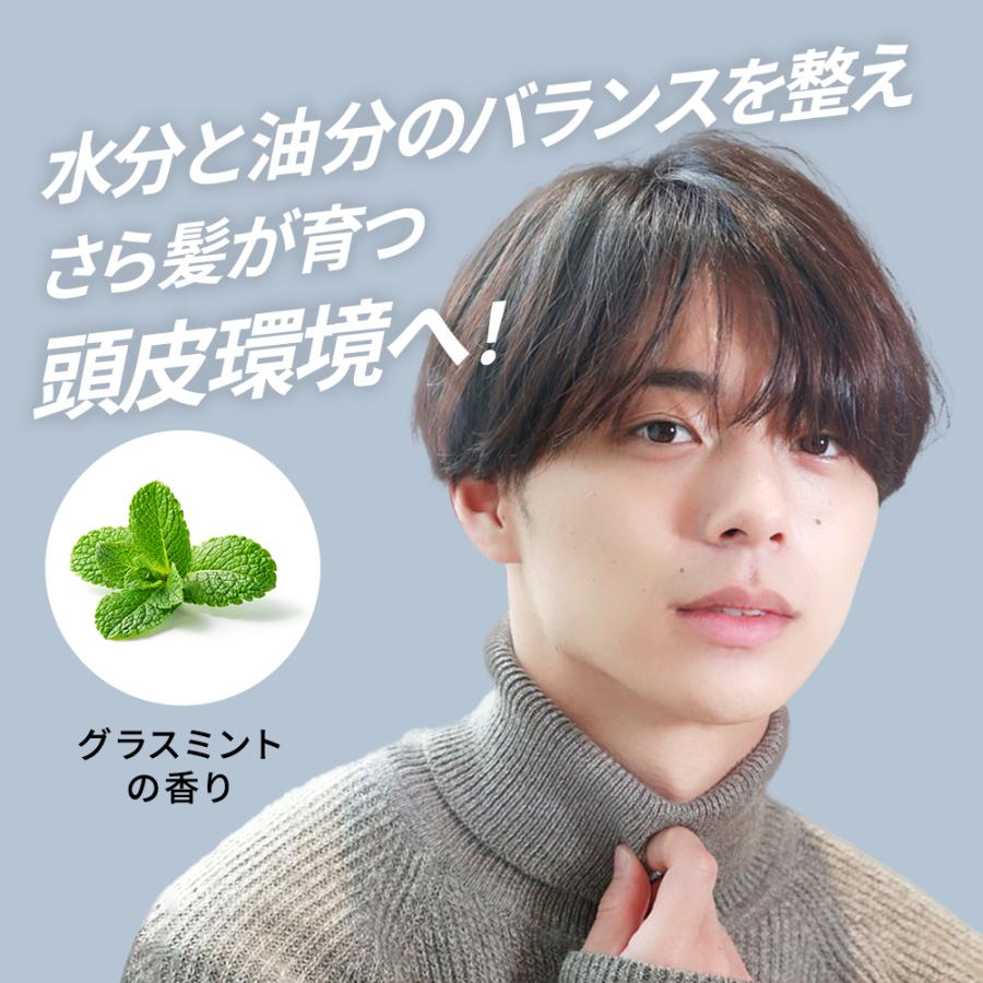 ヘッドサプリー 頭皮用化粧水 150ｍl 頭皮ケア スカルプケア 頭皮クレンジング 栄養 化粧水 ふけ かゆみ フケ 植物エキス ヘッドサプリー 保湿 乾燥 メンズ | LIPPS | 02