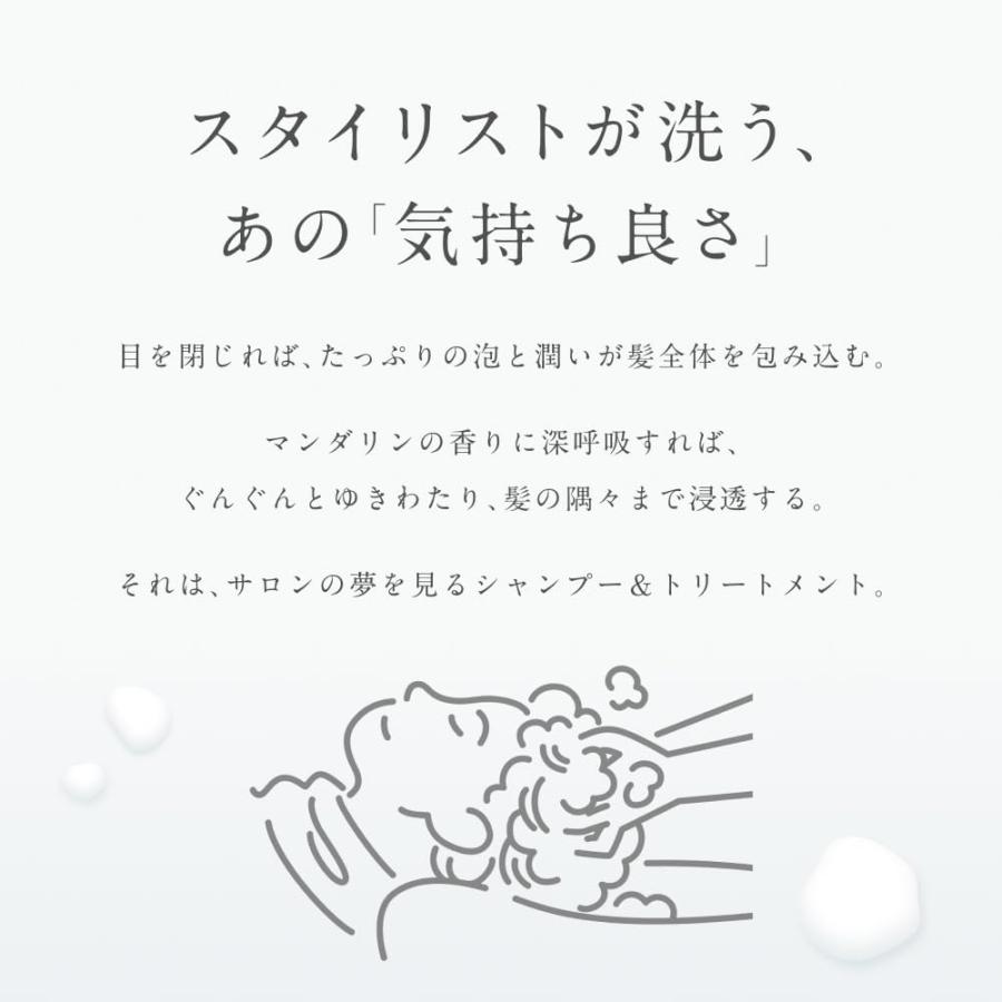 シャンプー トリートメント セット LIPPS スタイリストシリーズ マンダリンオレンジの香り 400ml / 400g | LIPPS | 04