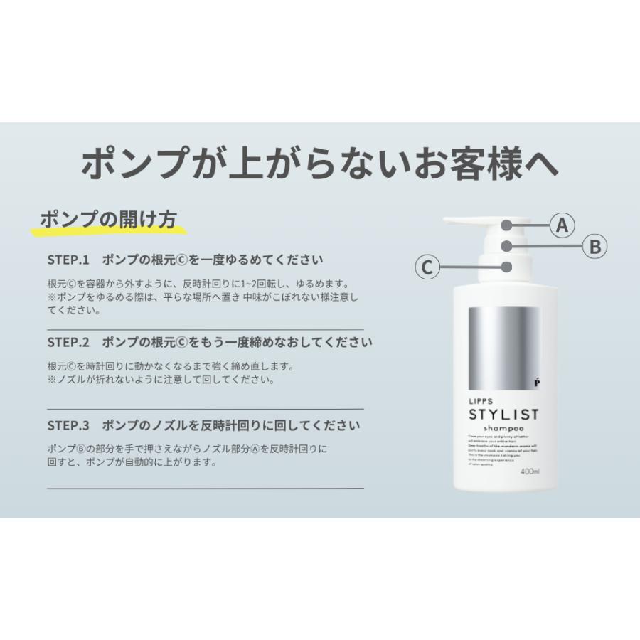 シャンプー トリートメント セット LIPPS スタイリストシリーズ マンダリンオレンジの香り 400ml / 400g | LIPPS | 11