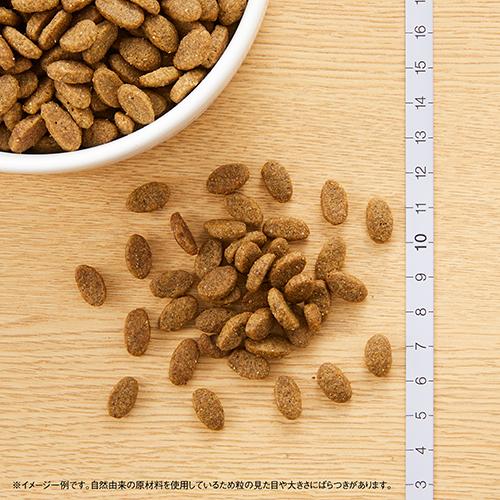 ニュートロ　ナチュラルチョイスキャット　室内猫用　アダルトターキー　2kg　成猫用【おまけ付き】キャットドライフード｜lipstyle-petfamilyen｜02