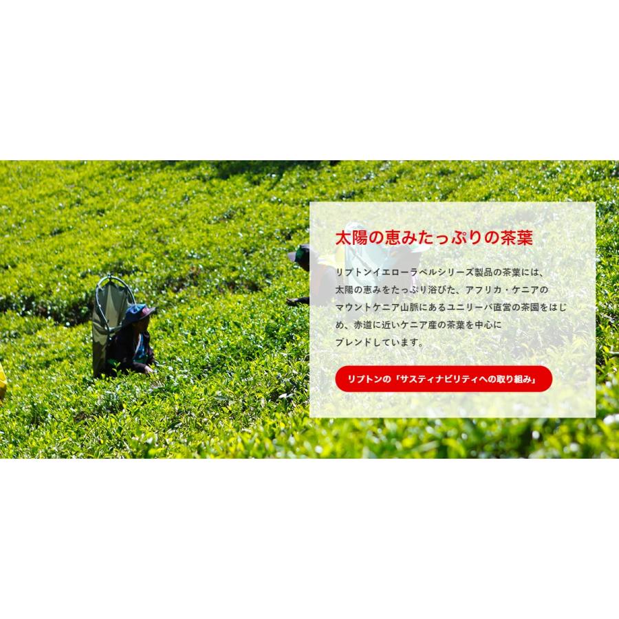 Lipton（リプトン） 紅茶 公式 無糖 ハーブティー 5種アソート PP個