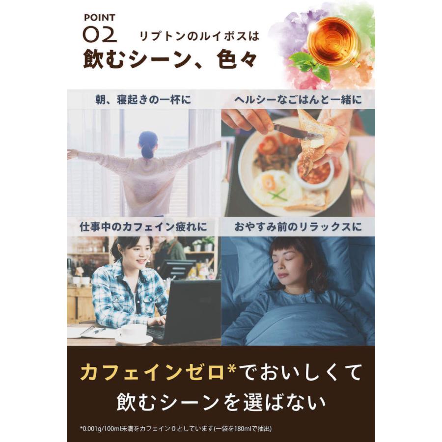 【3万円以上購入でトートバッグ進呈｜20日0時〜数量限定】紅茶 リプトン アップルルイボス 15袋 ルイボスティー | Lipton | 02