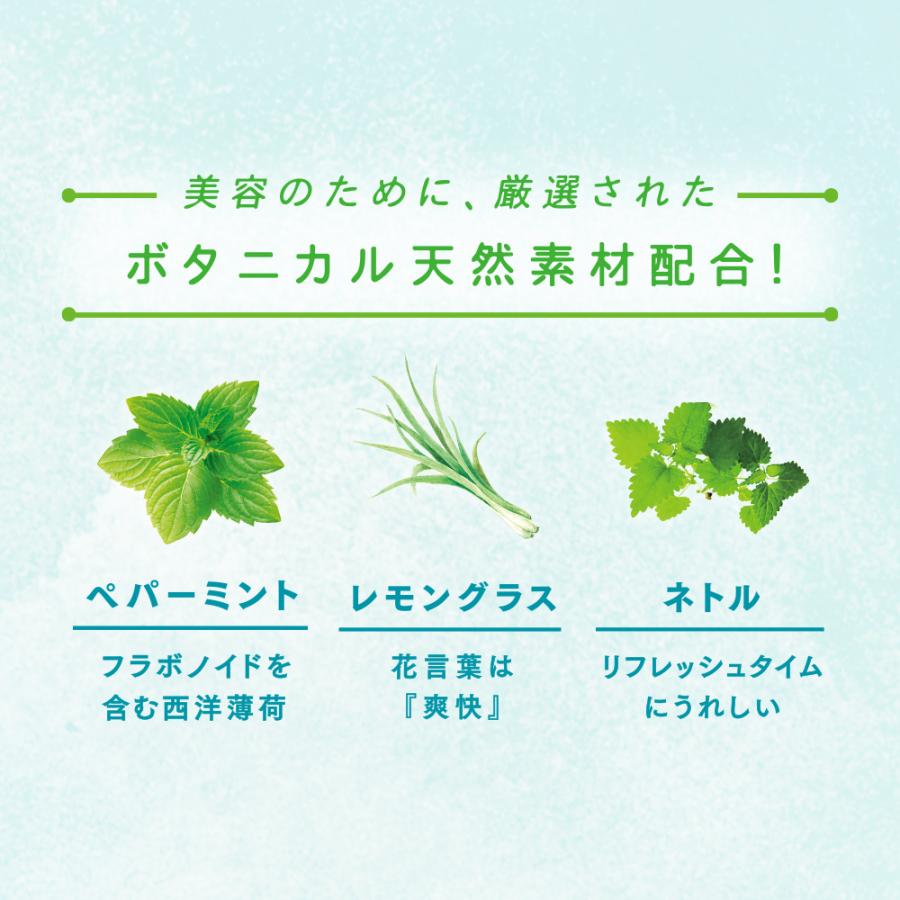 人気激安 アウトレット 40 Off 賞味期限 22 09 22まで ボタニックティー ピュアクレンズ ティーバッグ 30袋 ペパーミントティー レモングラスティー 新商品 Lipton Riosmauricio Com