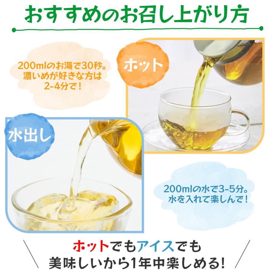 Lipton（リプトン） フレッシュ グリーンティー 14袋×6セット : 紅茶の