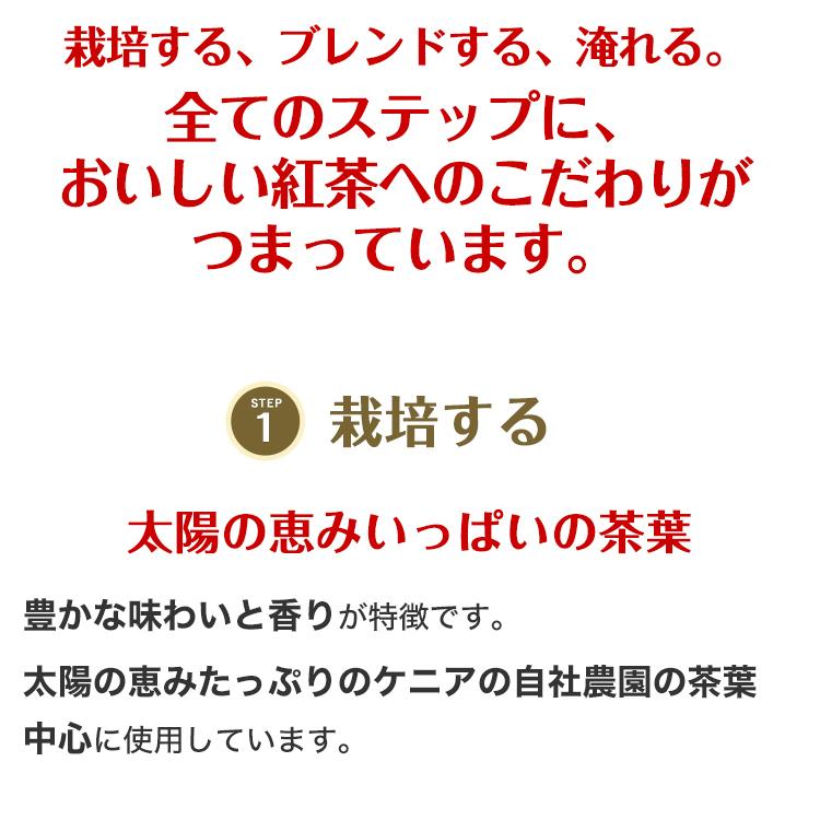 アウトレット含む 返品交換不可 賞味期限:2023/03/29】 紅茶 ギフト リプトン 公式 初回スターターキット 9種類 リプトン ティーパック :set00016:紅茶の専門家リプトン公式オンラインストア - 通販 - Yahoo!ショッピング アウトレット含む 返品交換不可 賞味期限:2023/03/29】 紅茶 ギフト リプトン 公式 初回スターターキット 9種類 リプトン ティーパック :set00016:紅茶の専門家リプトン公式オンラインストア - 通販 - Yahoo!ショッピング