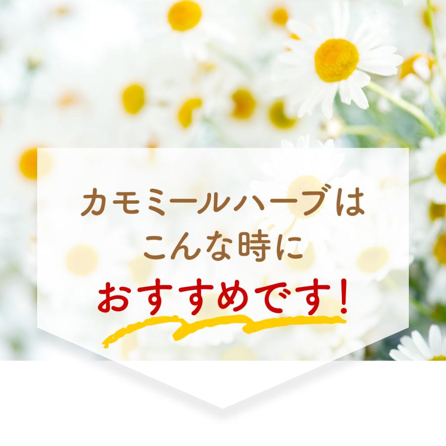 紅茶 リプトン カモミールハーブ PP個包装 50袋×3セット 無糖  妊婦 | Lipton | 09