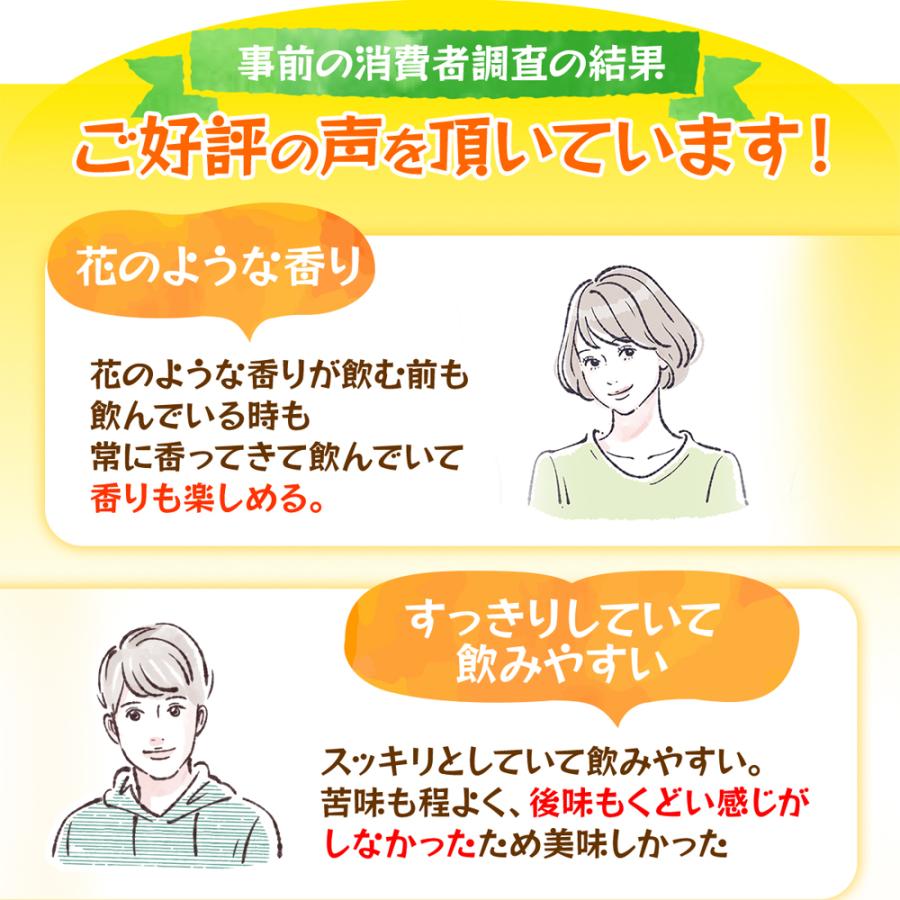 グリーンティー ピーチ はちみつ 水出しアイスティー 緑茶 ティーバッグ 3種×各2点 計6セット | Lipton | 09