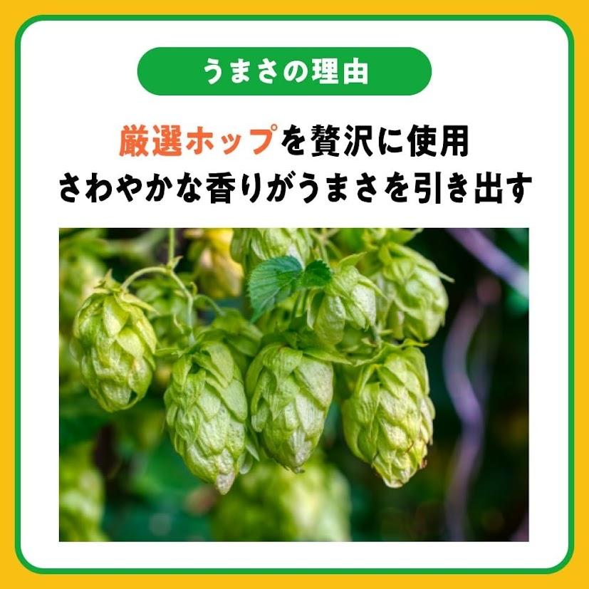 送料無料 アサヒ スタイルフリー 350ml×2ケース/48本 発泡酒 ビール YTR | アサヒ スタイルフリー | 03