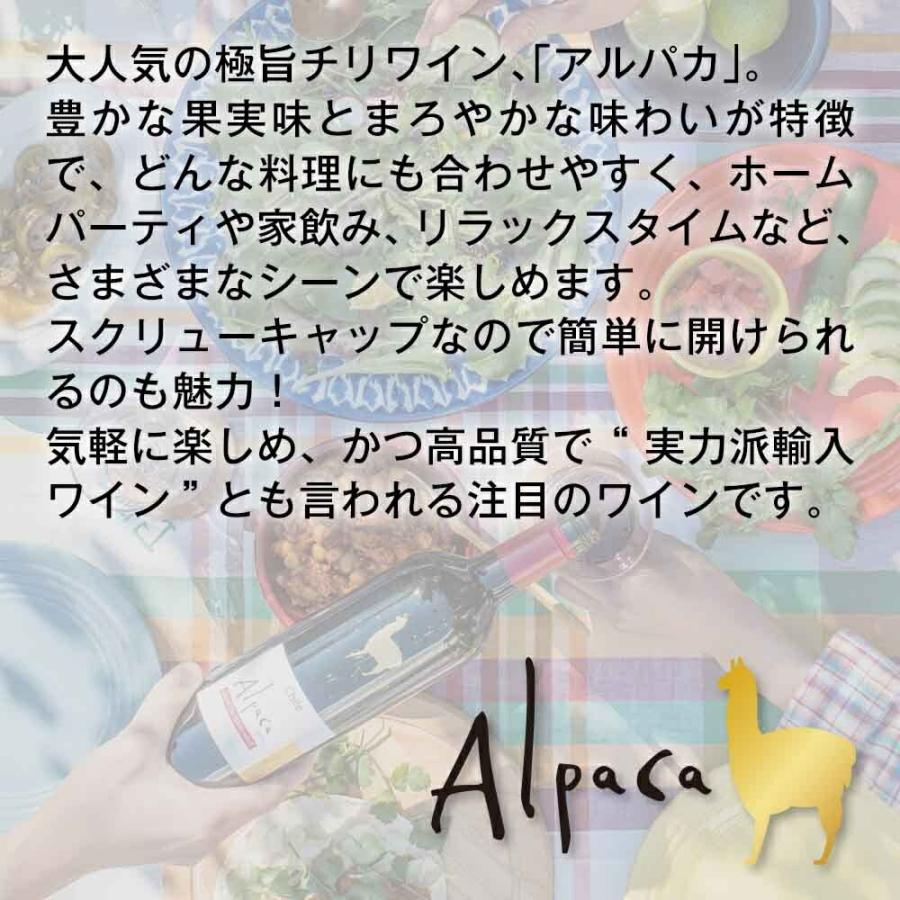 送料無料 サンタヘレナ アルパカ ソーヴィニヨンブラン 750ml&times;12本