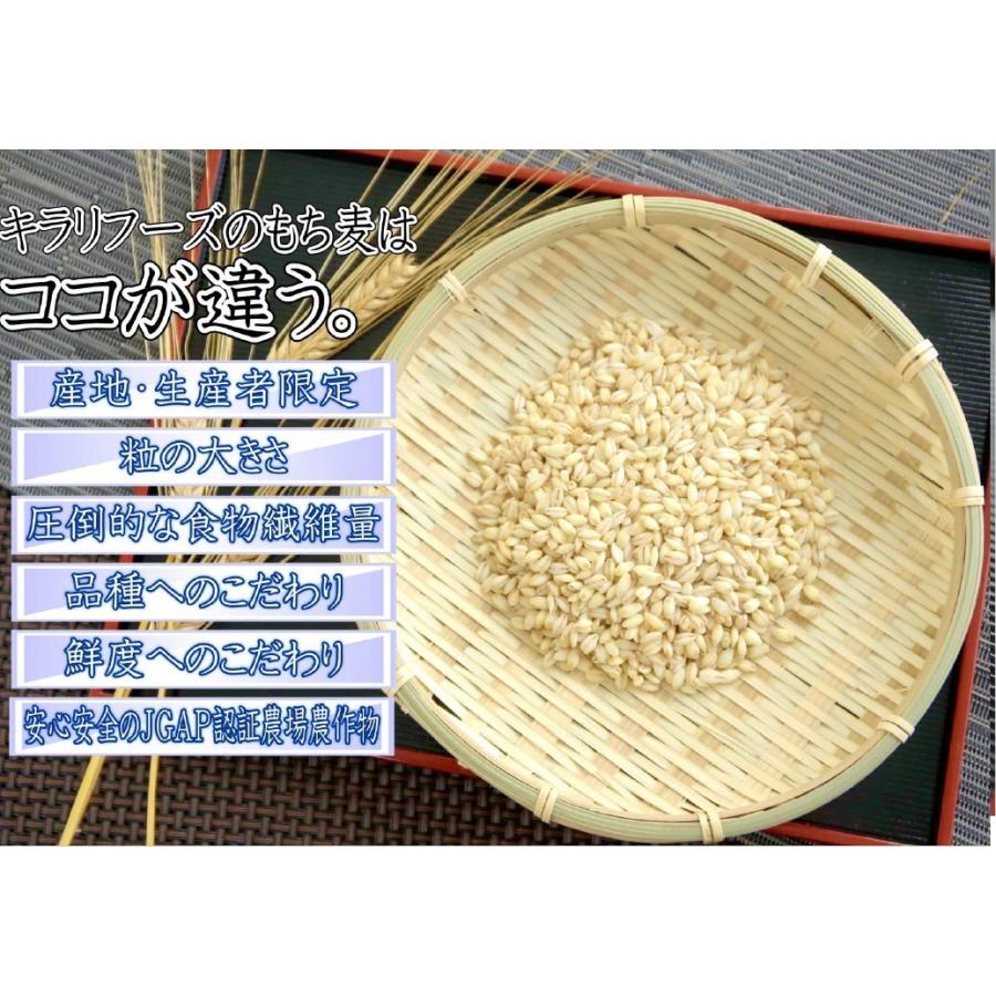 送料無料 【もち麦】 キラリフーズ 広島県 安芸高田産 特選もち 送料無料 【もち麦】 キラリフーズ 広島県 安芸高田産 特選もち