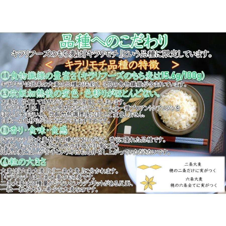 送料無料 【もち麦】 キラリフーズ 広島県 安芸高田産 特選もち 送料無料 【もち麦】 キラリフーズ 広島県 安芸高田産 特選もち