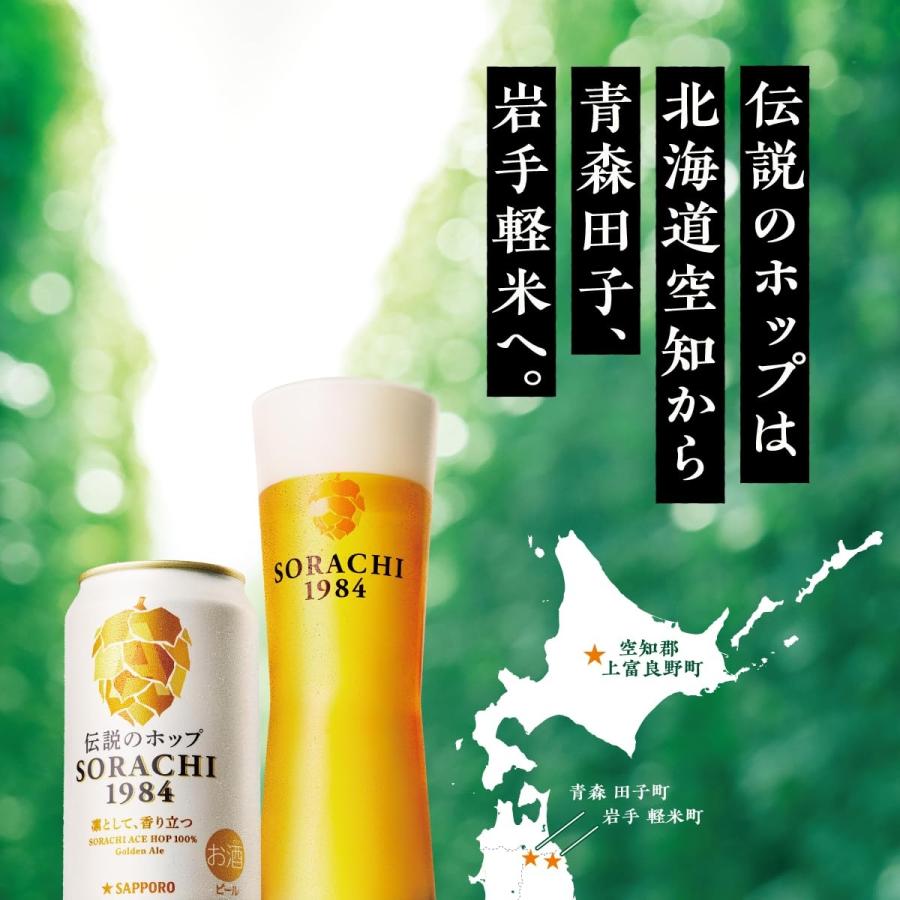ソラチ あすつく 送料無料 クラフト ビール サッポロ Innovative