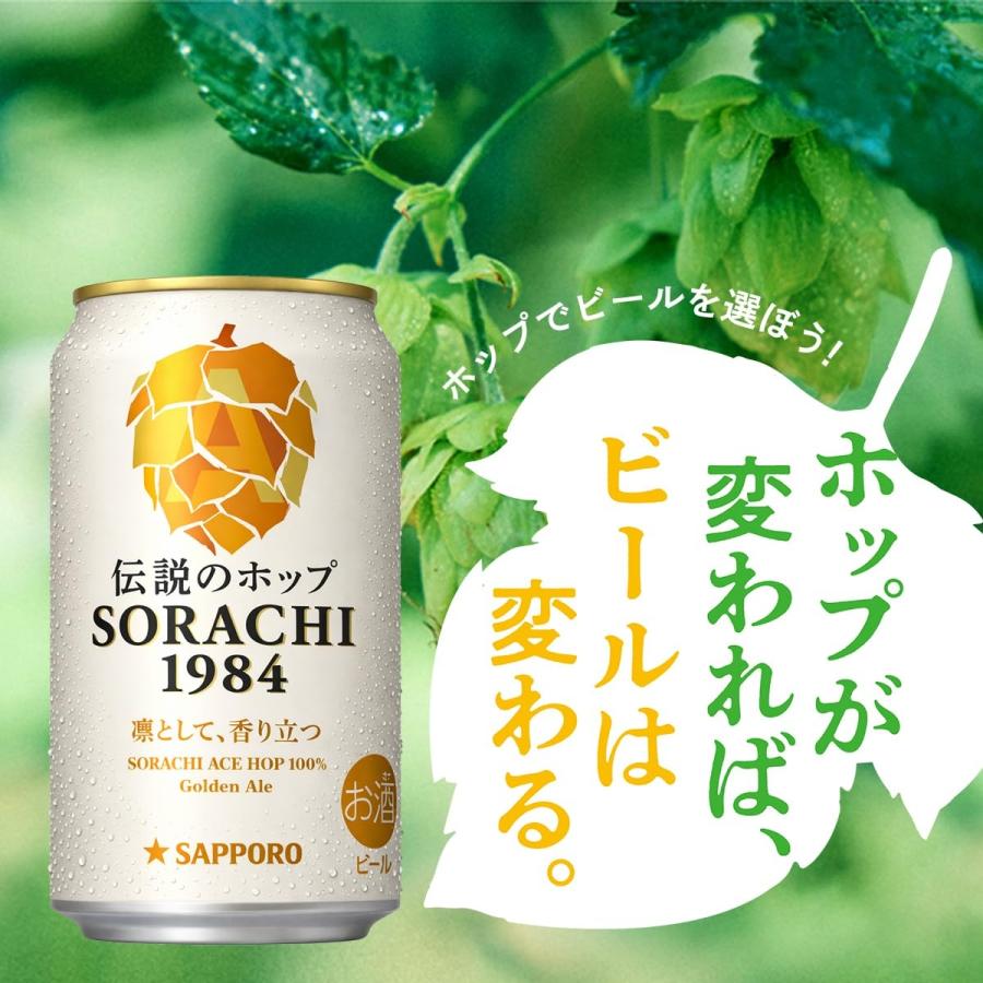 送料無料 クラフト ビール サッポロ Innovative Brewer SORACHI1984 ソラチ 350ml×2ケース | ソラチ | 04