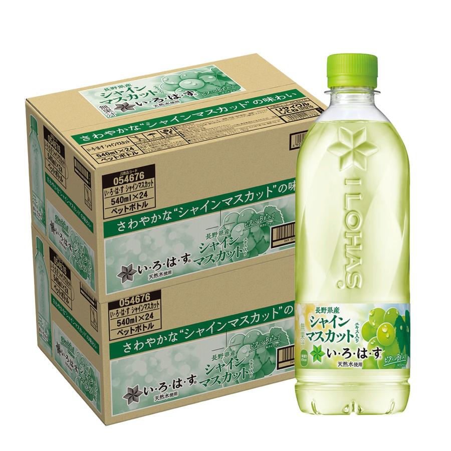送料無料 コカ コーラ い 中華のおせち贈り物 ろ 555ml 48本 は シャインマスカット す 2ケース