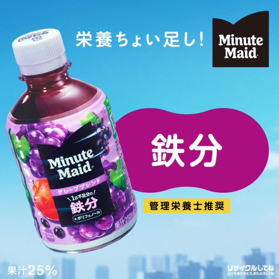 Minute Maid 送料無料 コカ・コーラ ミニッツ メイド グレープブレンド
