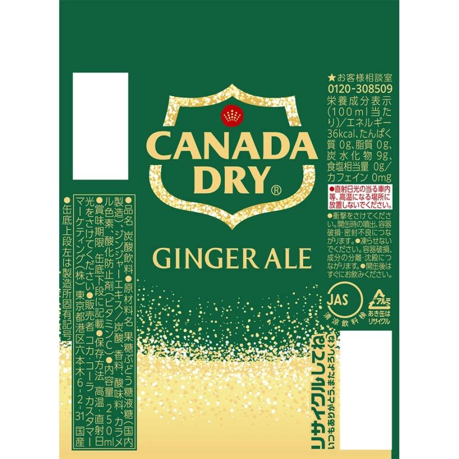 GINGER ALE（ジンジャーエール） あすつく 送料無料 コカ・コーラ