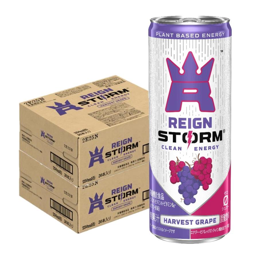 レインストーム ハーベストグレープ 60本 アサヒ（asahi） 送料無料 レインストーム ハーベストグレープ 250ml×2
