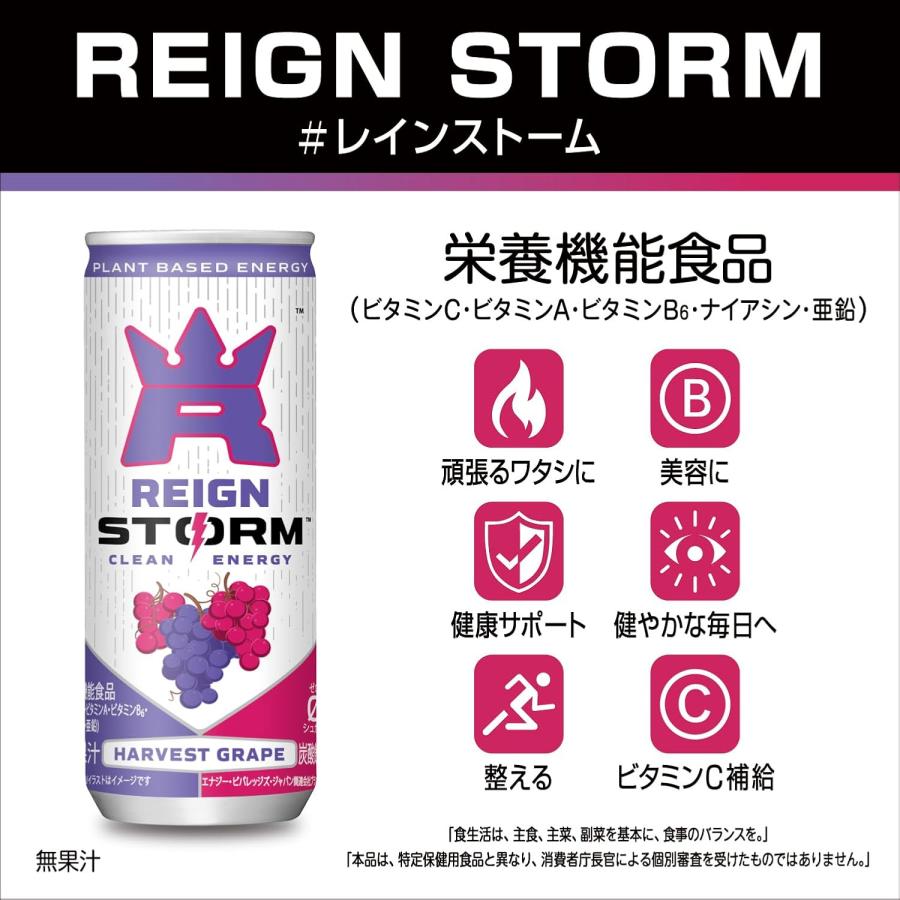 アサヒ（asahi） 送料無料 レインストーム ハーベストグレープ 250ml×2