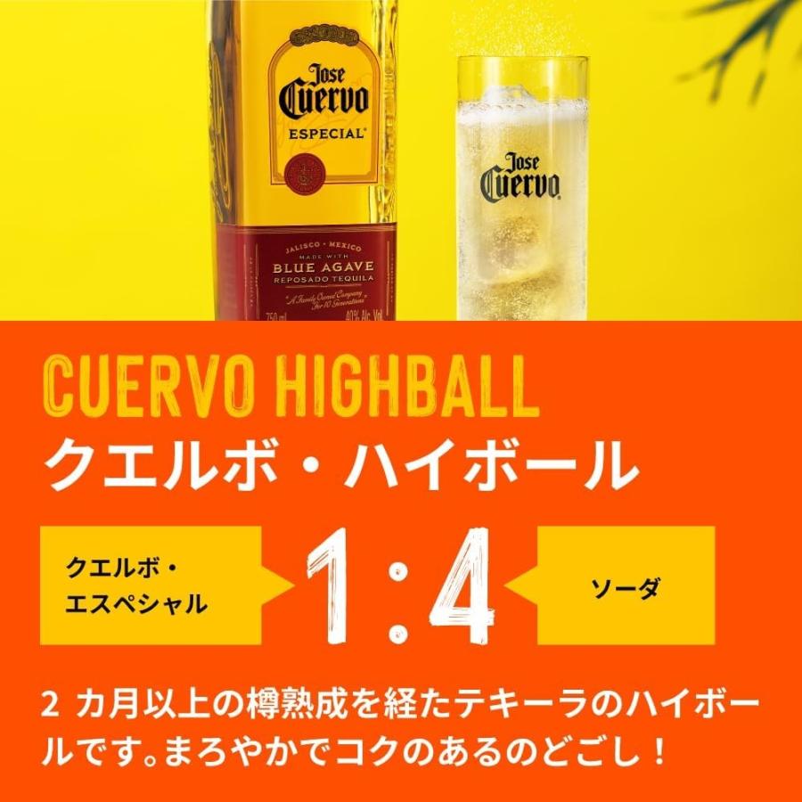 送料無料【正規品】 クエルボ エスペシャル ゴールド 40度 750ml×6本