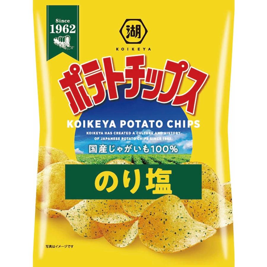 湖池屋（コイケヤ） 送料無料 ポテトチップス のり塩 55g×1ケース/12袋