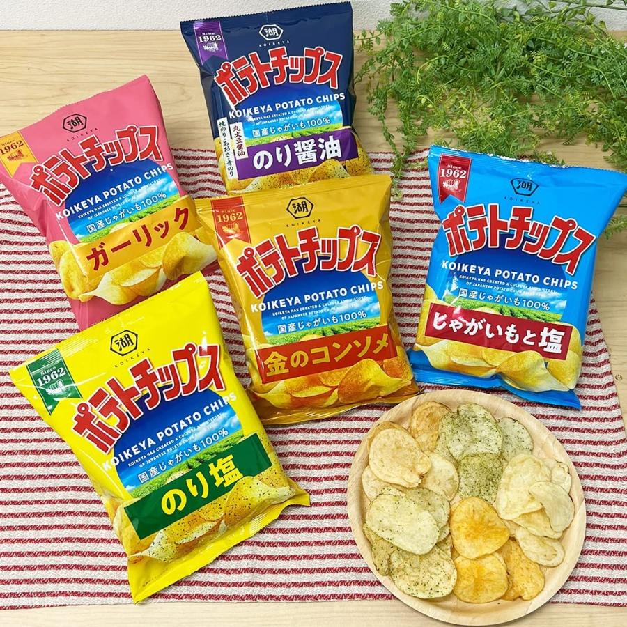 湖池屋（コイケヤ） 送料無料 ポテトチップス のり塩 55g×1ケース/12袋
