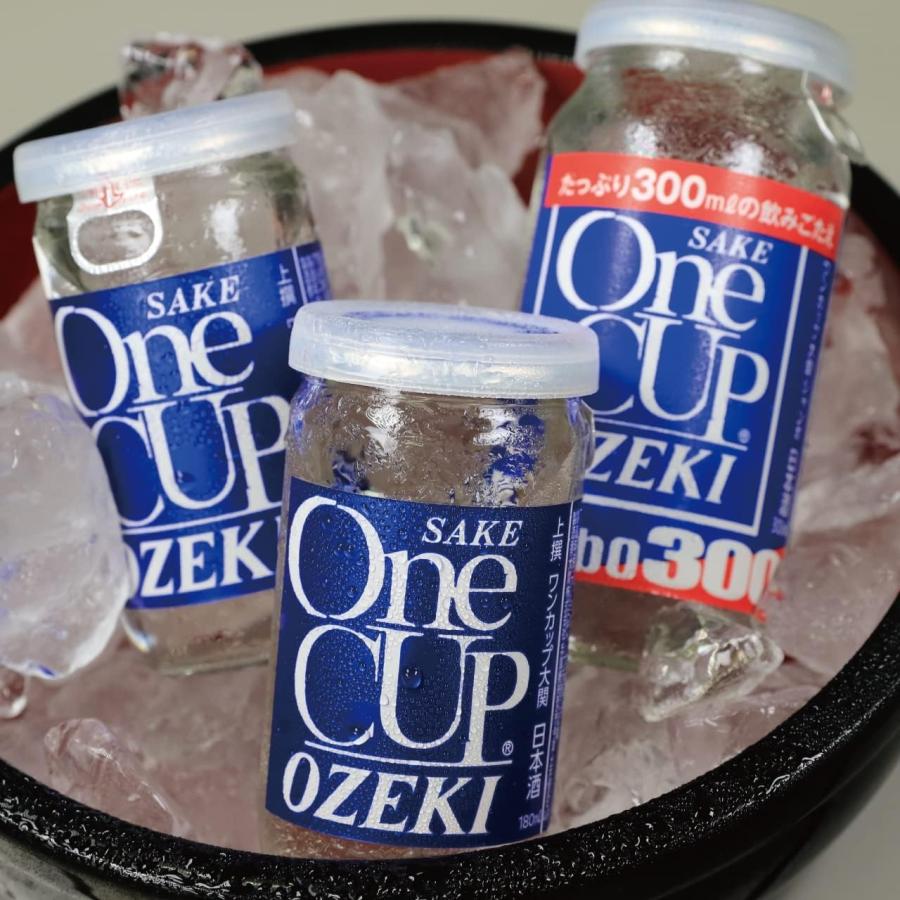 送料無料 日本酒 大関 上撰 ワンカップ ジャンボ 瓶詰 300ml×1ケース