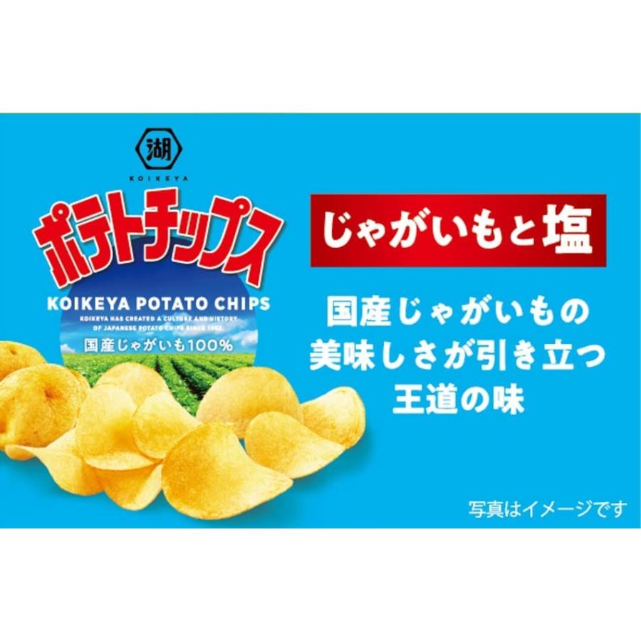 湖池屋（コイケヤ） 送料無料 ポテトチップス じゃがいもと塩味 55g×3