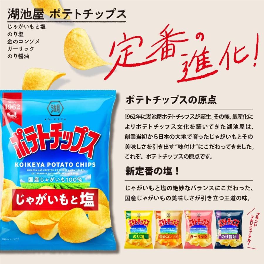 湖池屋（コイケヤ） 送料無料 ポテトチップス じゃがいもと塩味 55g×3