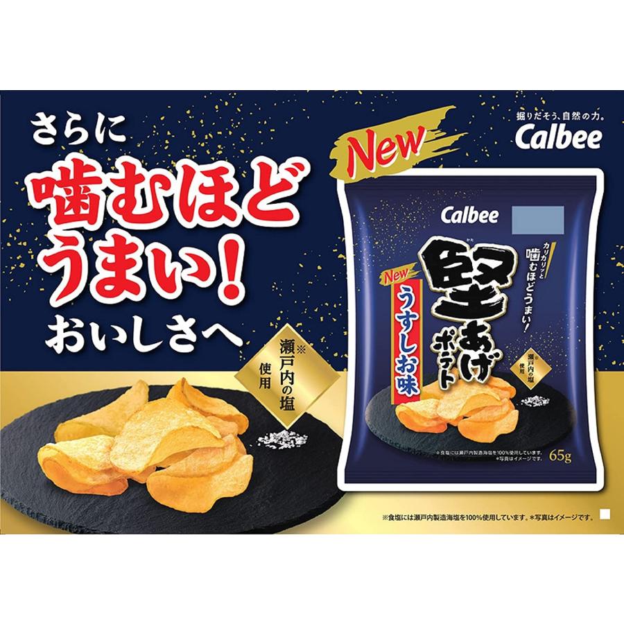 堅あげポテト 送料無料 カルビー うすしお味 65g×24袋 本州(一部地域