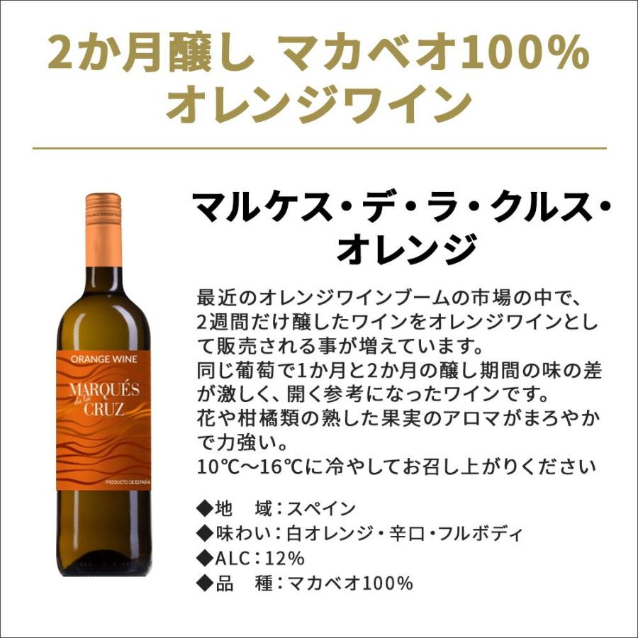 あすつく 送料無料 ナチュール オレンジワイン 6本セット 750ml×6本