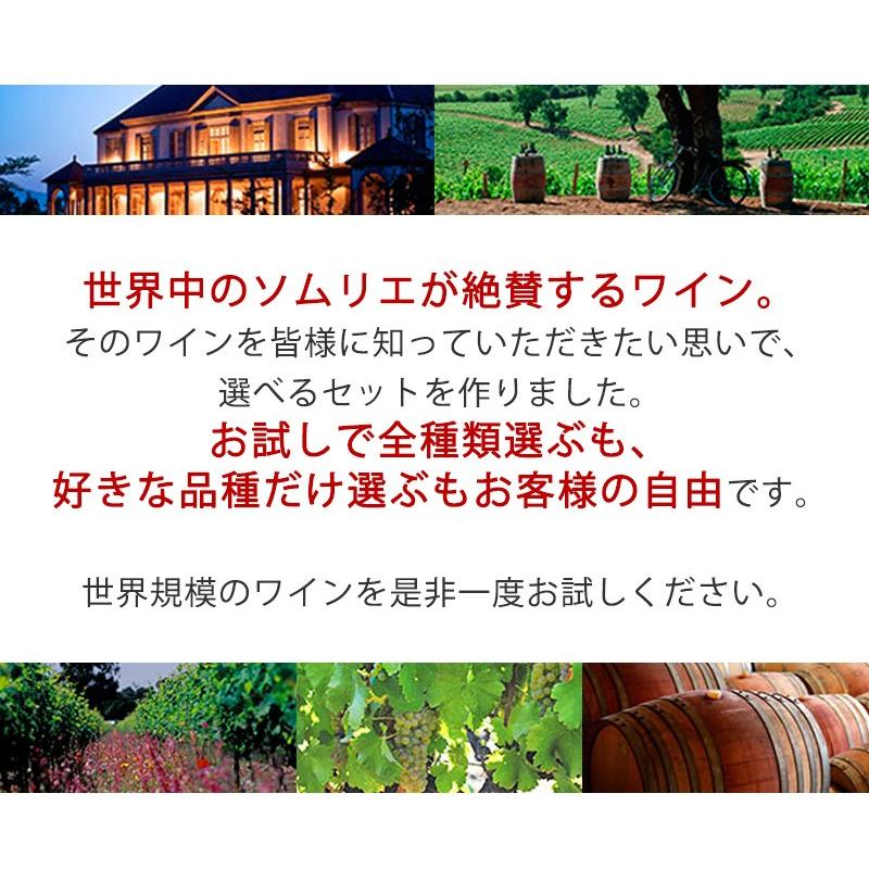 あすつく ワイン セット 送料無料 よりどり選べる コノスル ヴァラエタル シリーズ 10本 ワインセット 750ml&times;10本 wine