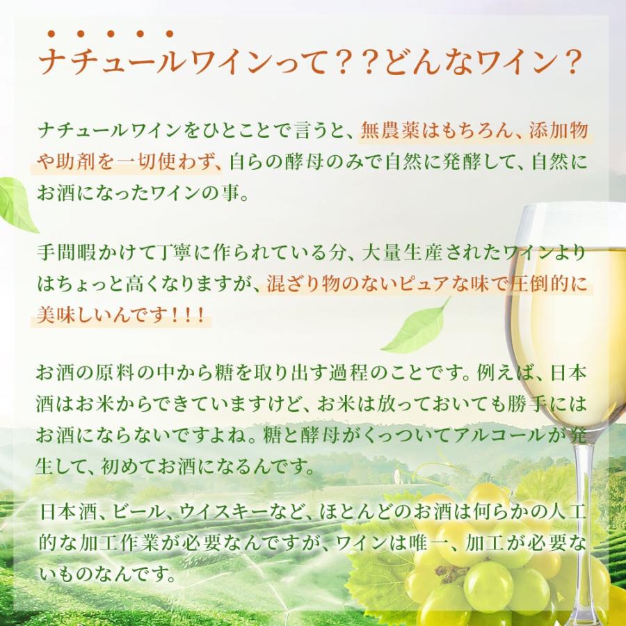 あすつく 送料無料 ナチュール オレンジワインセット第2弾 750ml×6本
